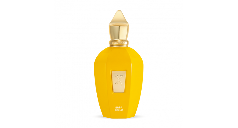 ERBA GOLD EDP 100ML