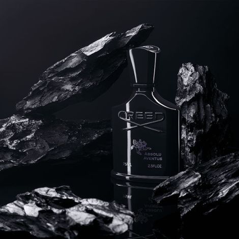 Creed Aventus Absolu